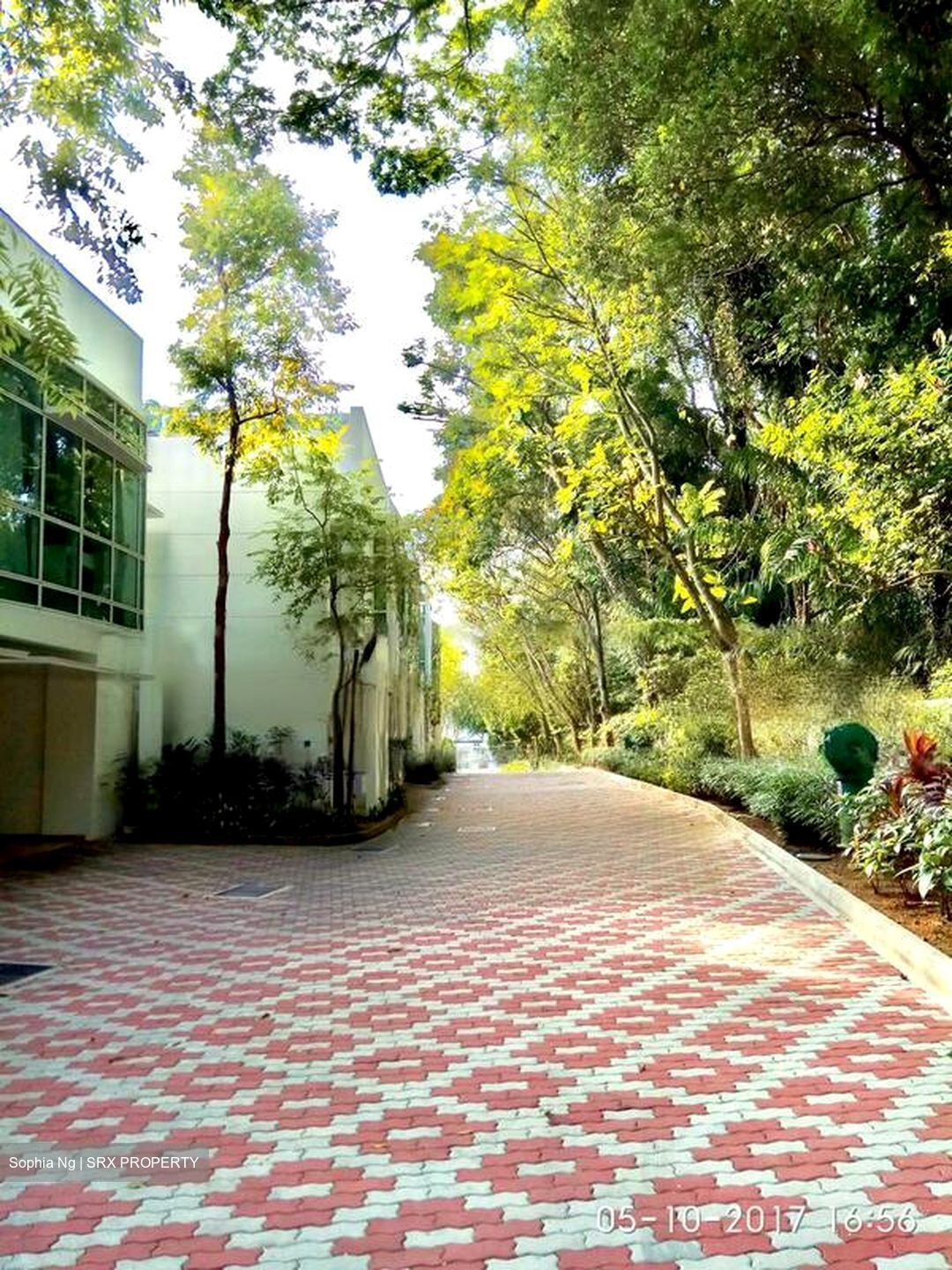 Woollerton Park (D10), Terrace #479646581